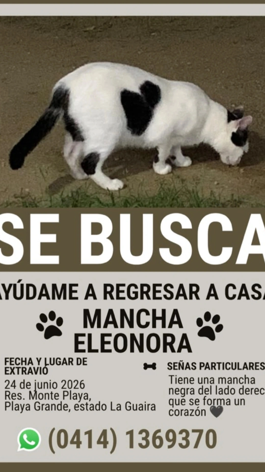 Mancha Eleonora