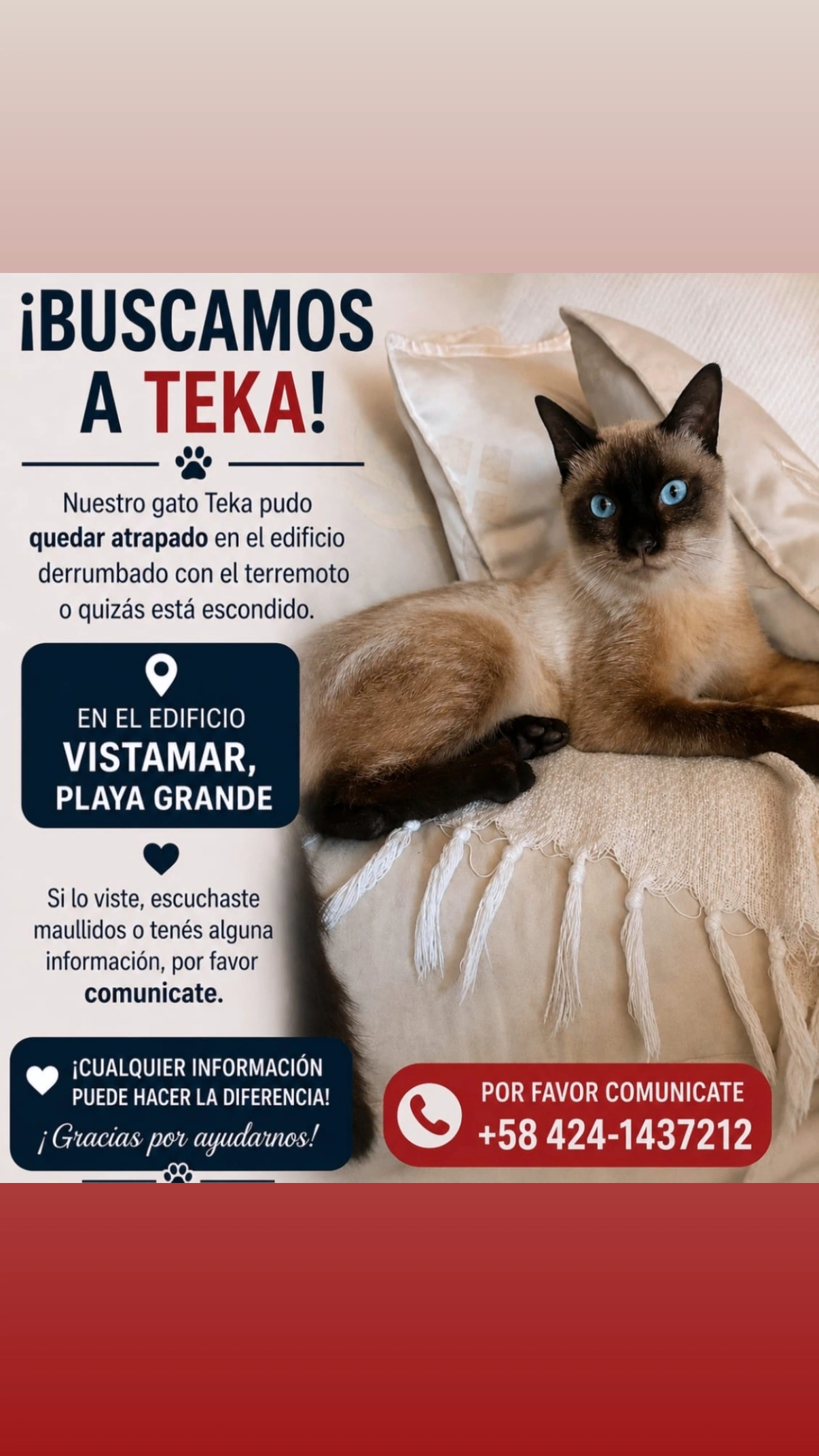 Teka