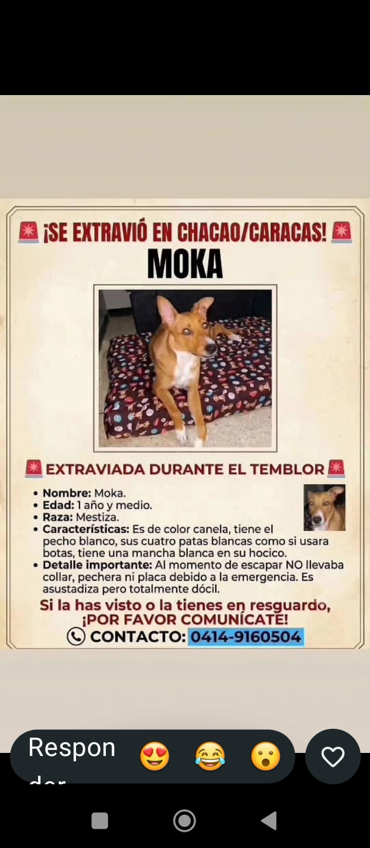 Moka