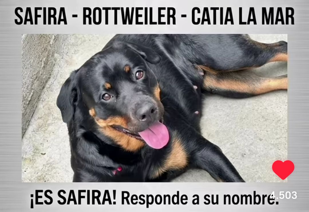 Safira