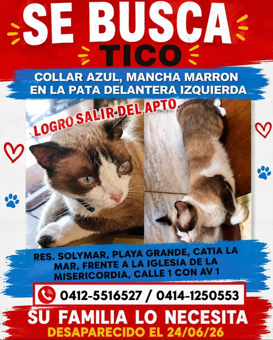 Tico