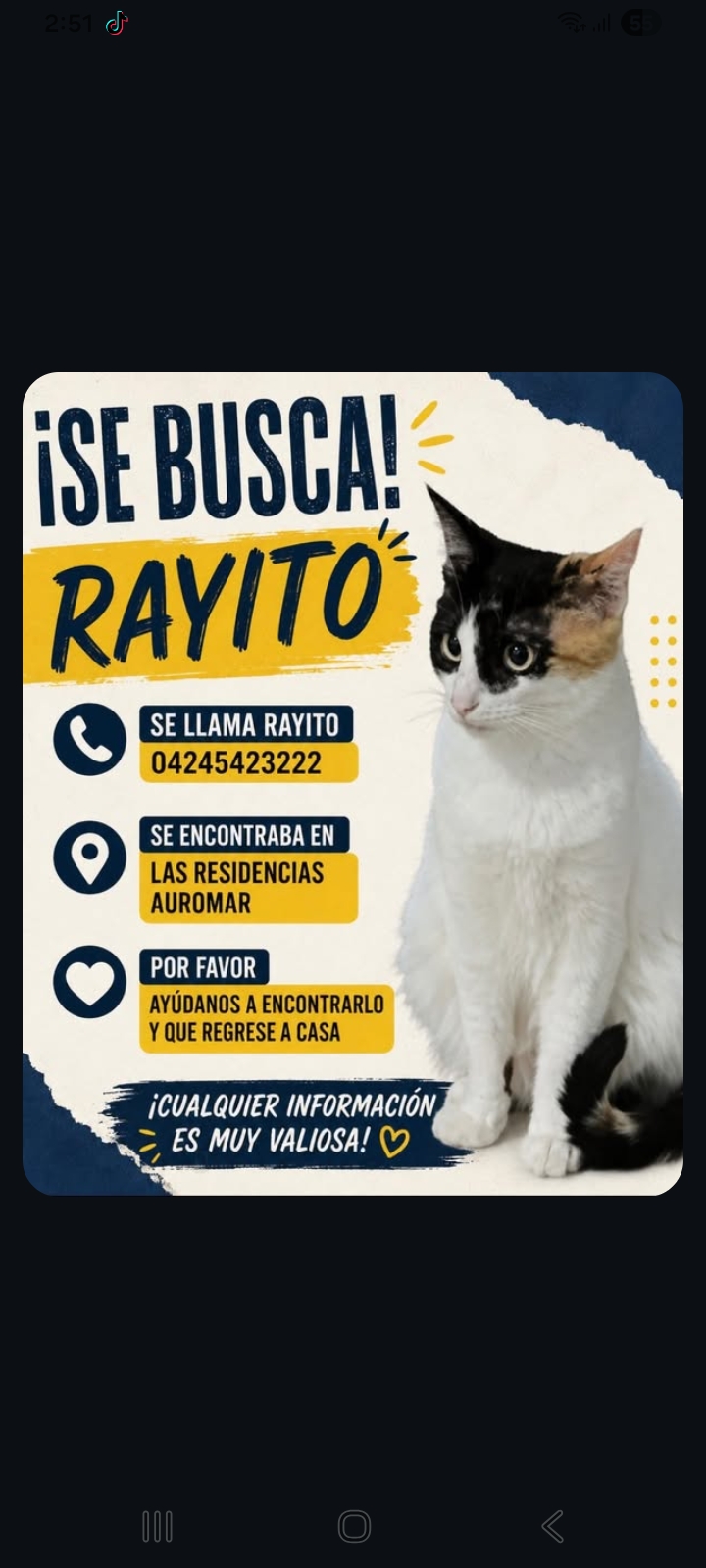 Rayito