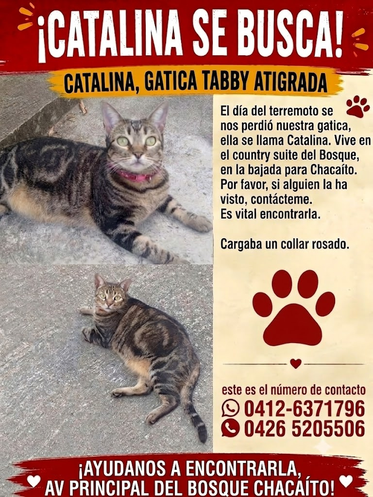 Catalina