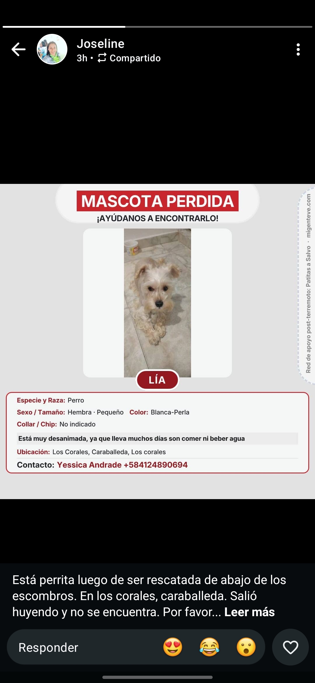 Lía