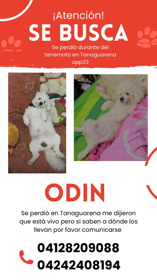 Odin