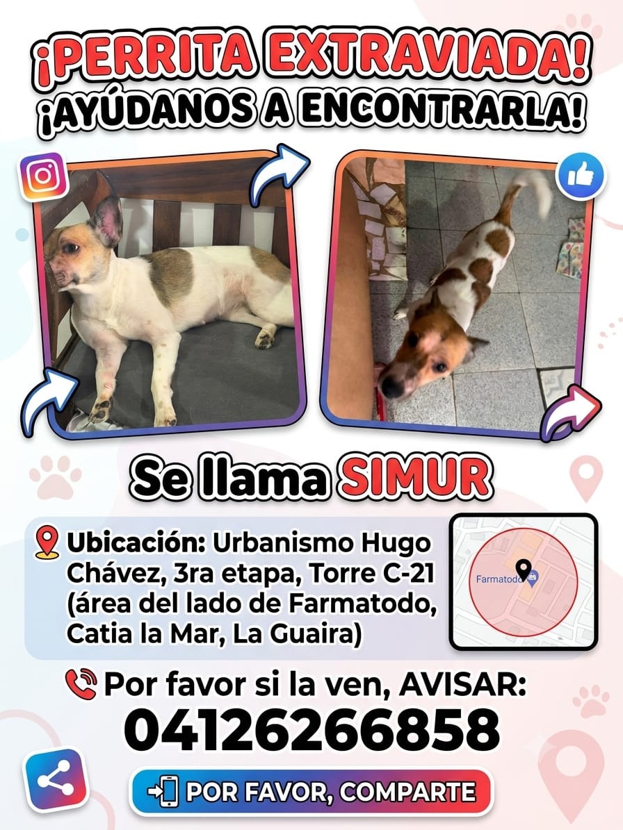 SIMUR
